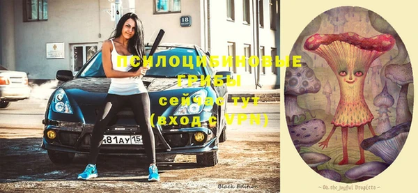 а пвп мука Зерноград