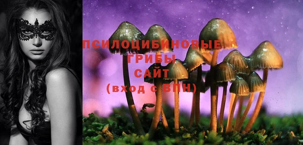 ГАЛЛЮЦИНОГЕННЫЕ ГРИБЫ Зеленокумск