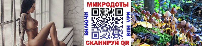 Псилоцибиновые грибы мицелий  Купить  Заволжск 